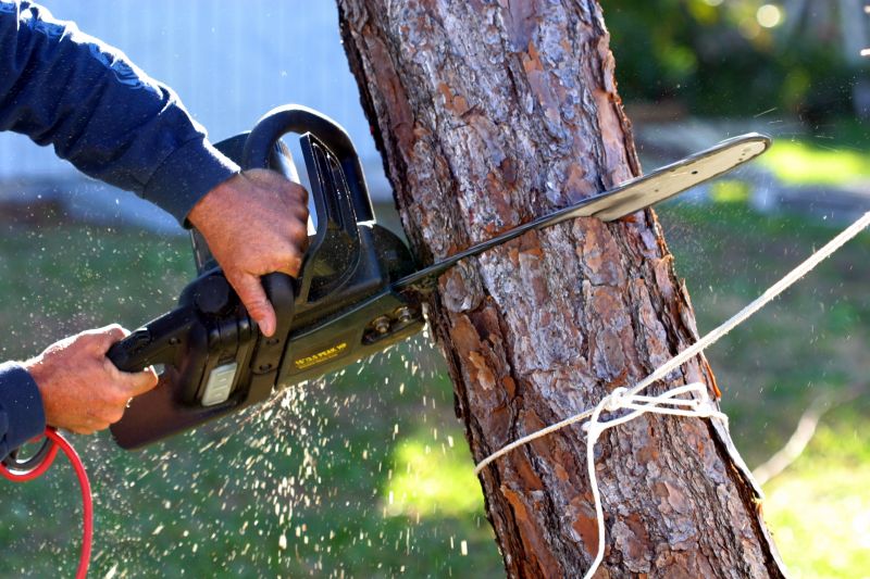 Cherry Tree Removal in Bucks County, PA