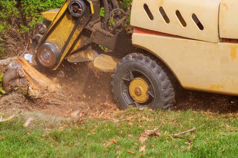 Tree Root Grinding in Calvert County, MD