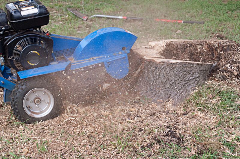 Tree Root Grinding in Waldorf, MD